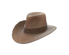 Unusual Hat With No Name.png