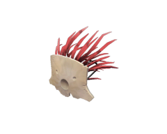 Unusual Mask Of The Shaman.png